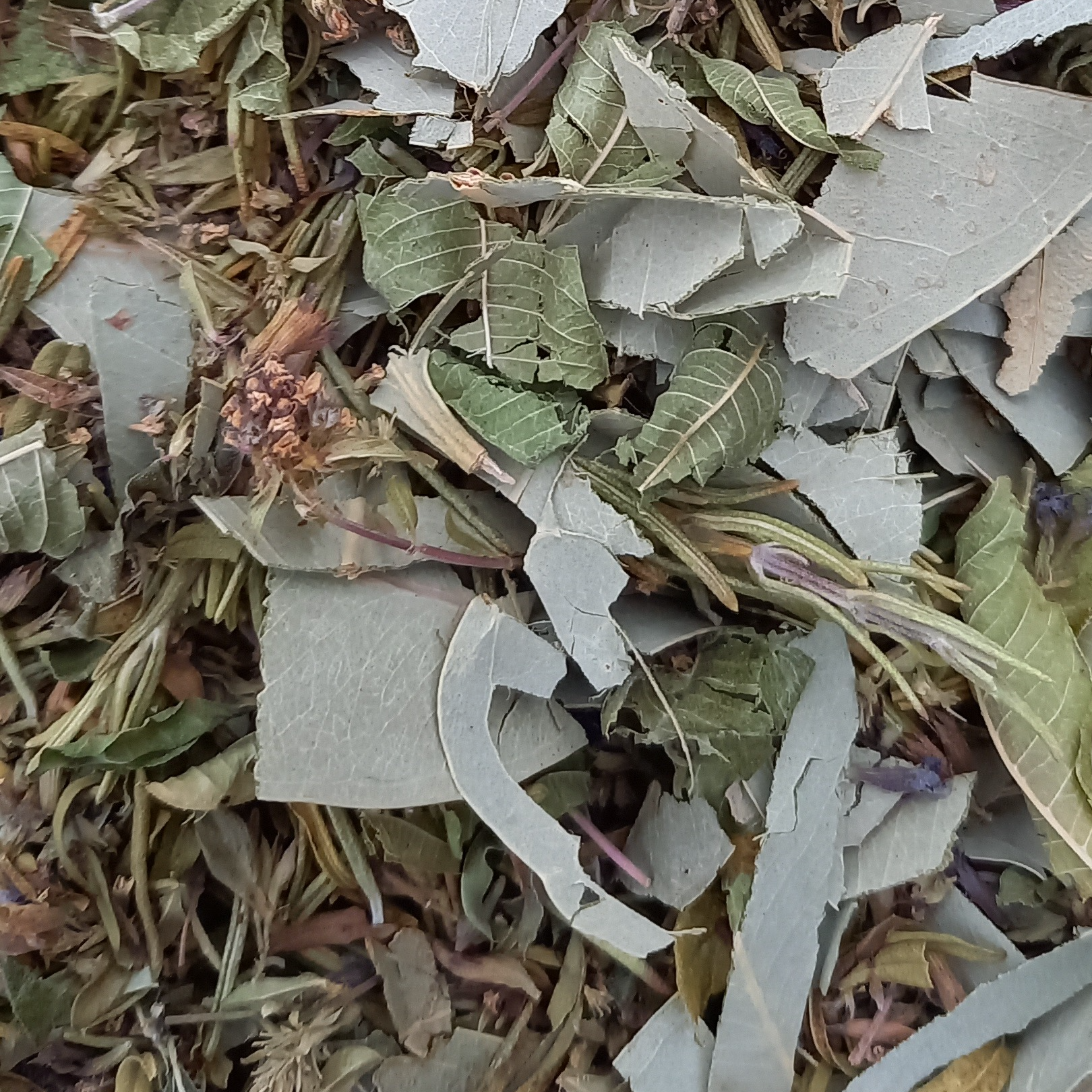 Tisane Respiration/Hiver- 20g