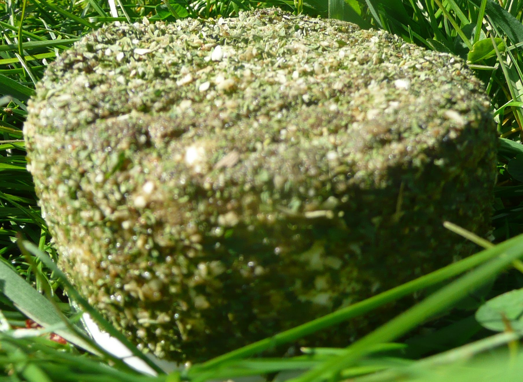 Ail et fines herbes - 130g