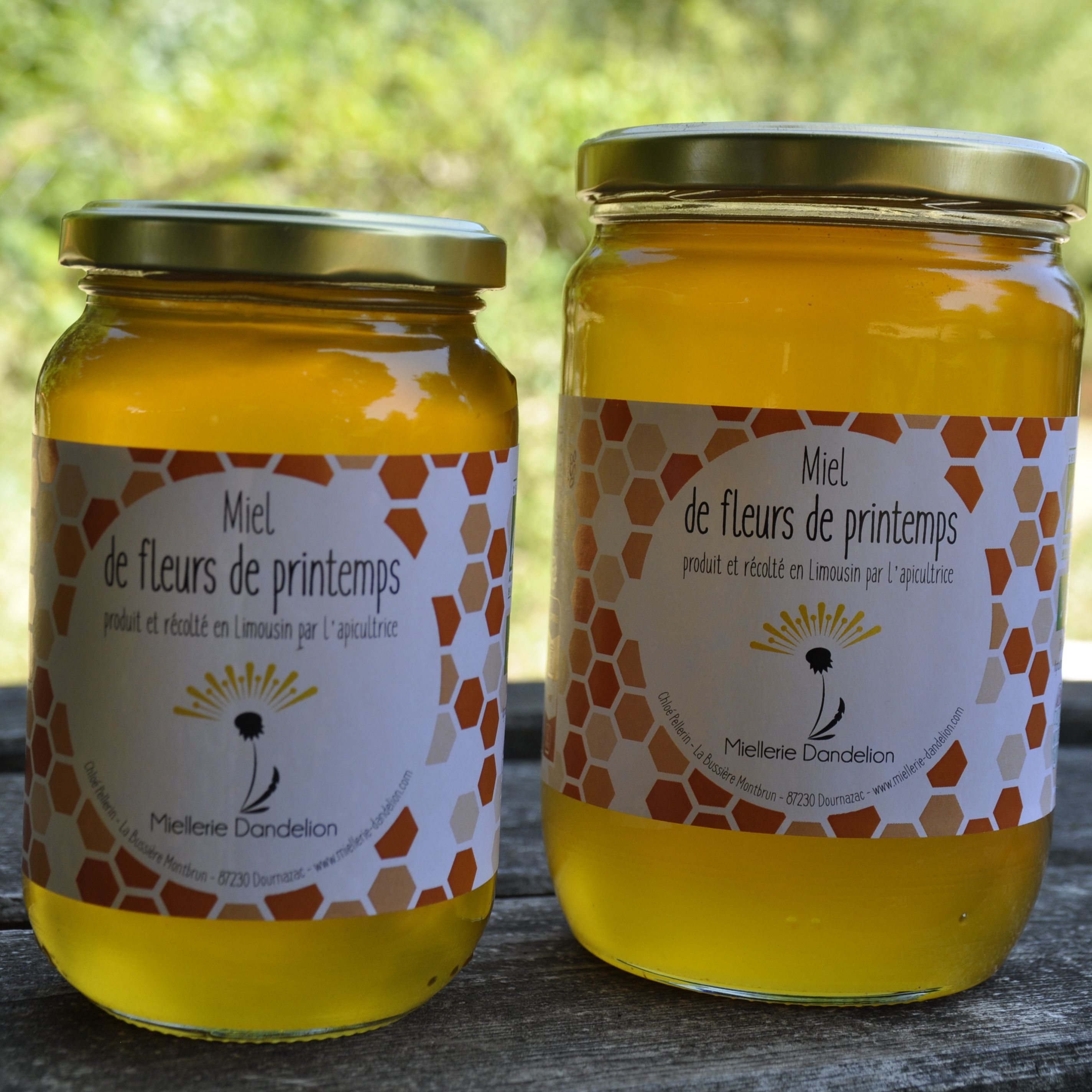 Miel de fleurs de printemps