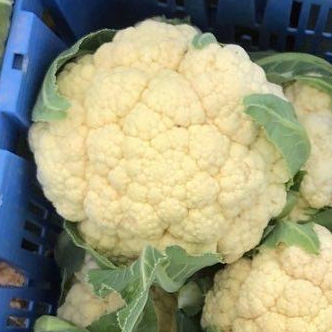 Chou fleur - environ 1 kg
