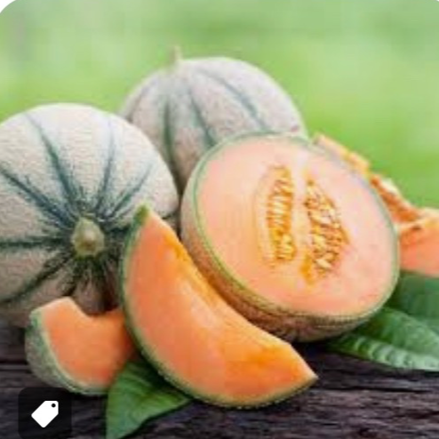 melon 🍈
