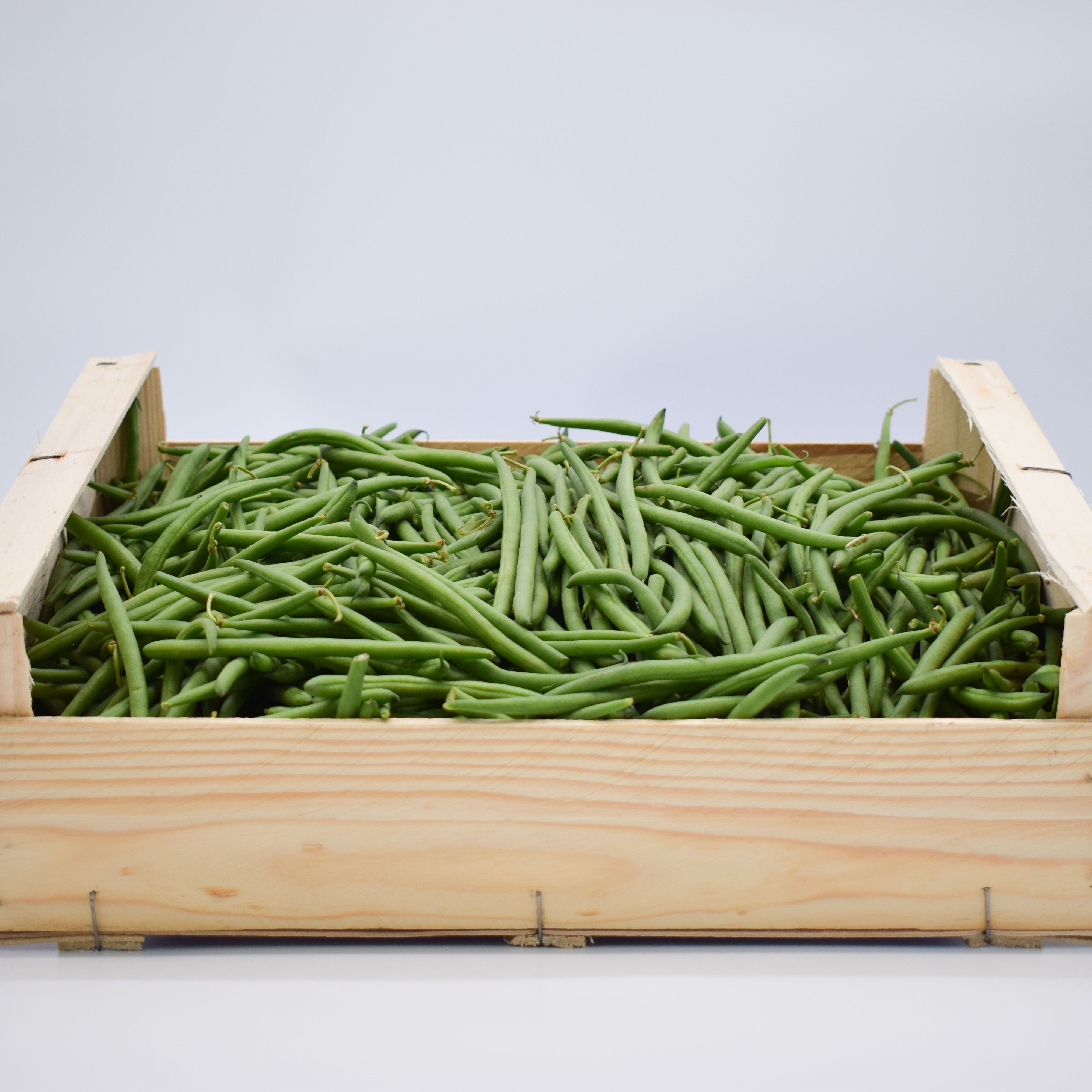 haricot vert plateau de 3 kg
