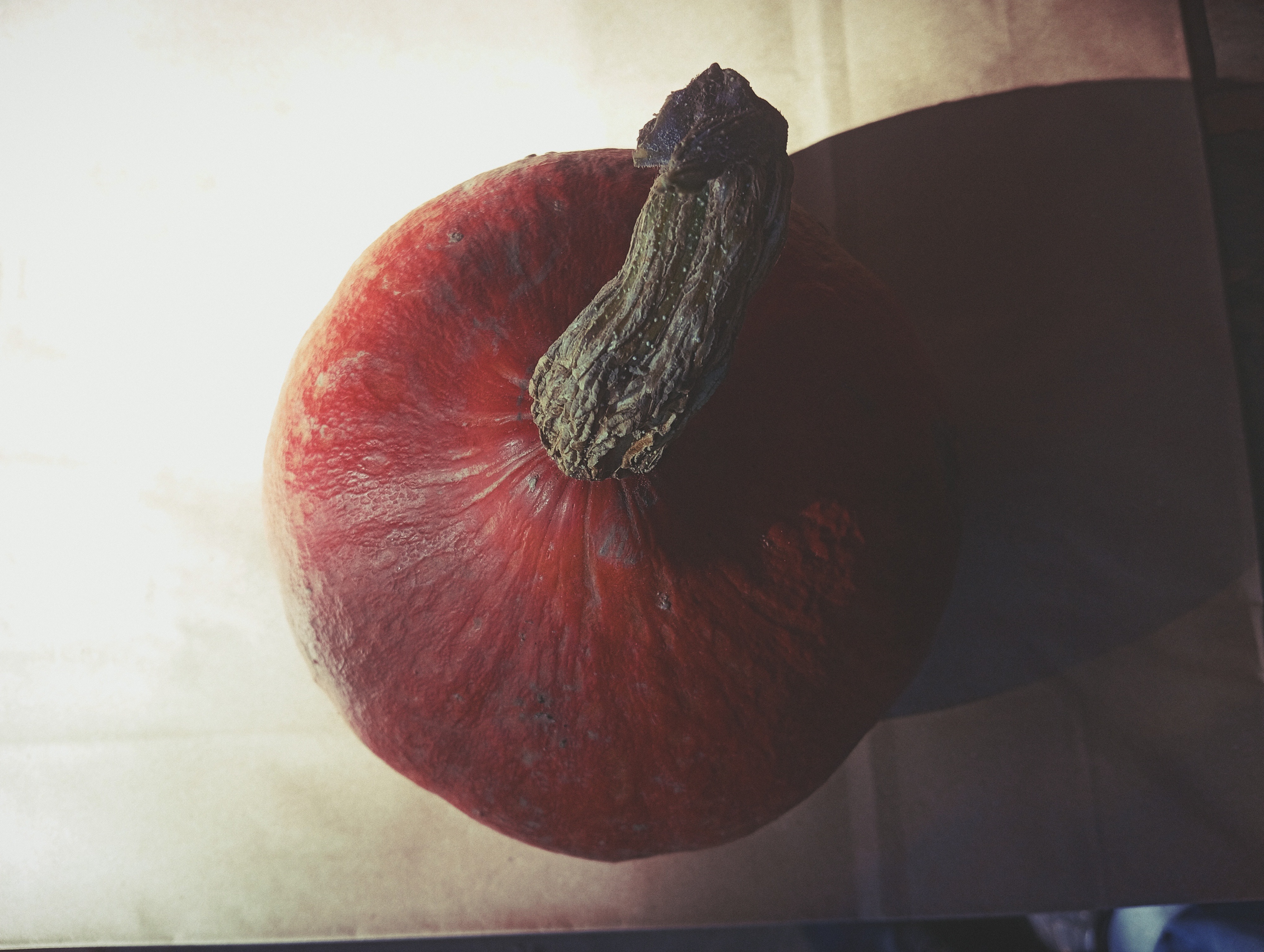 Potimarron