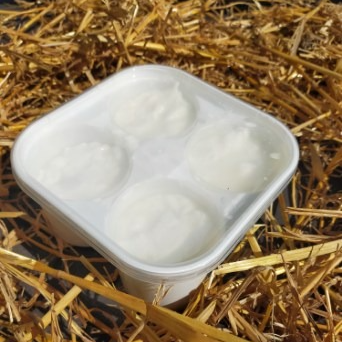 Faisselle de chèvre - pack de 4