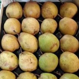 Poires ( Plateau ) - 5kg