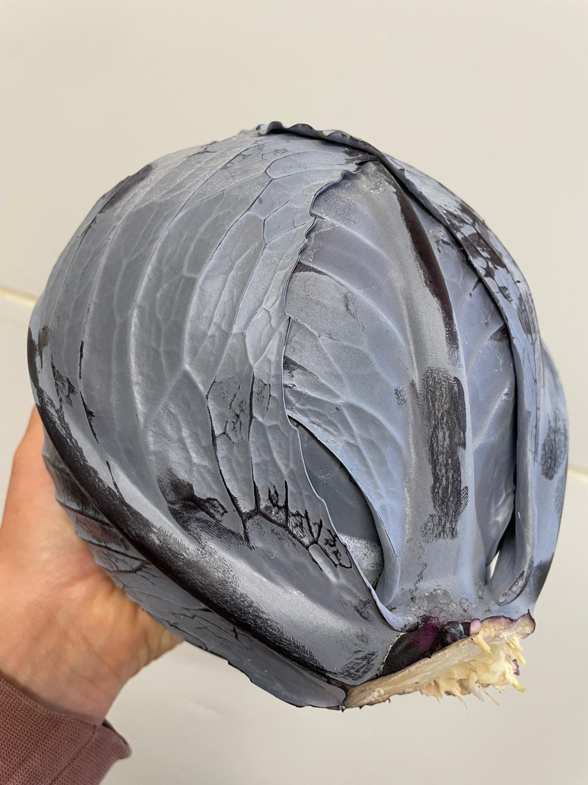 Chou rouge - 800g