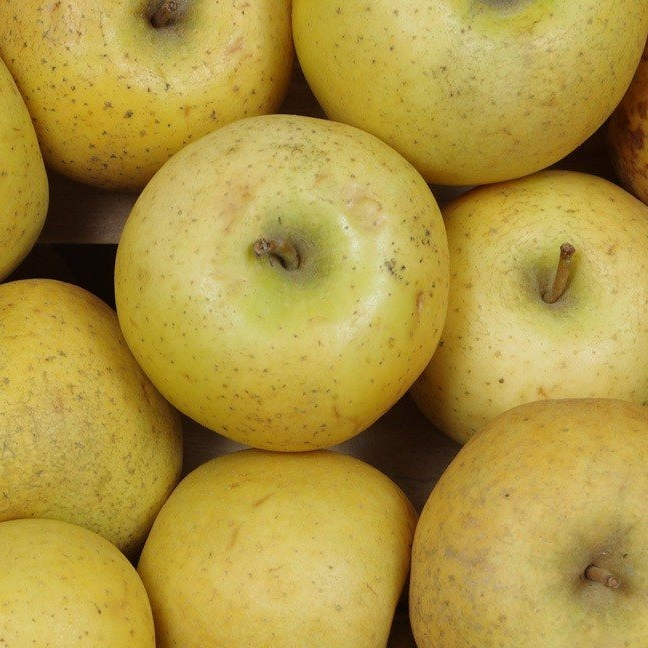 Pomme Chanteclerc - 800g