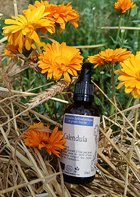 Alcoolature Calendula - 50ml