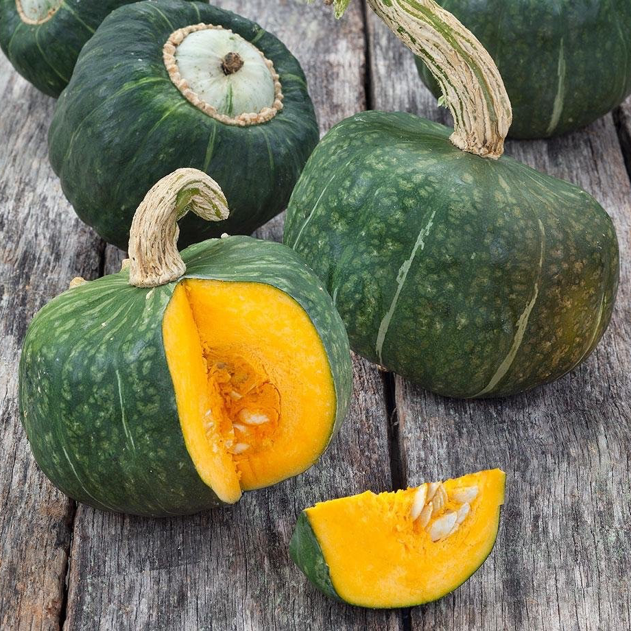 Courge ‘Buttercup’ - 1,5kg
