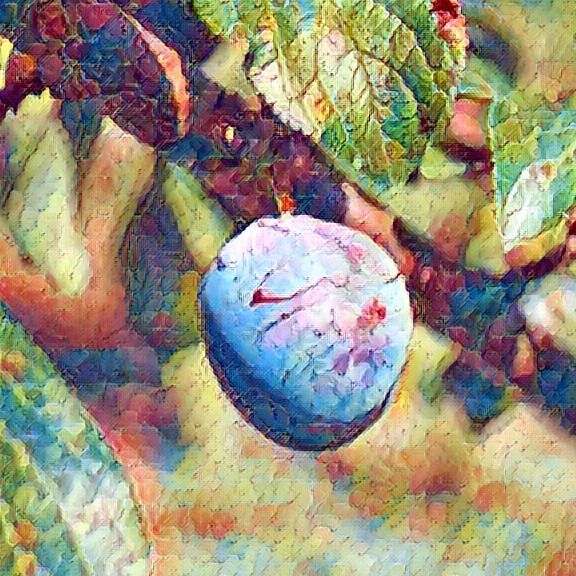 Prunier BERUDGE