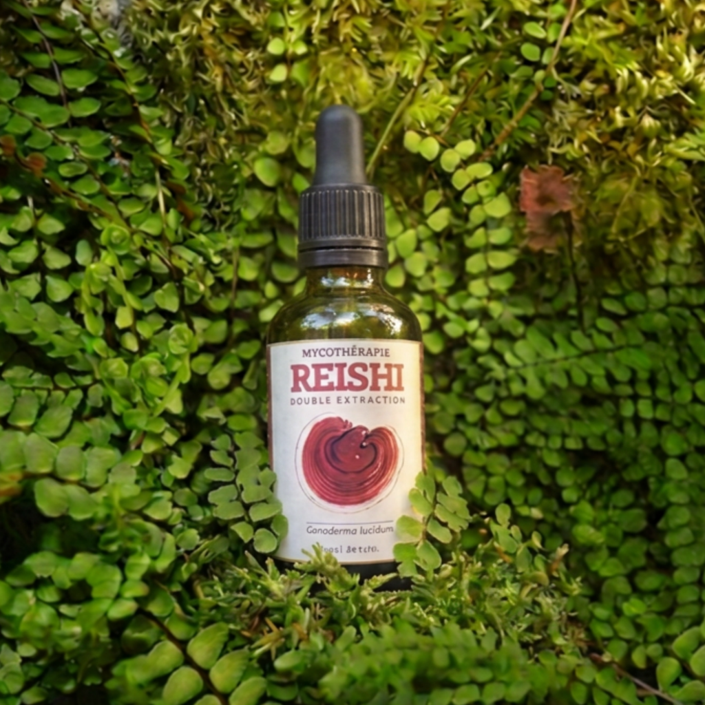 Extrait de Reishi - 50ml