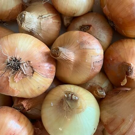 Oignon jaune - 1kg
