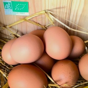 Les 6 oeufs bio extra frais - Des Poulettes de Paley