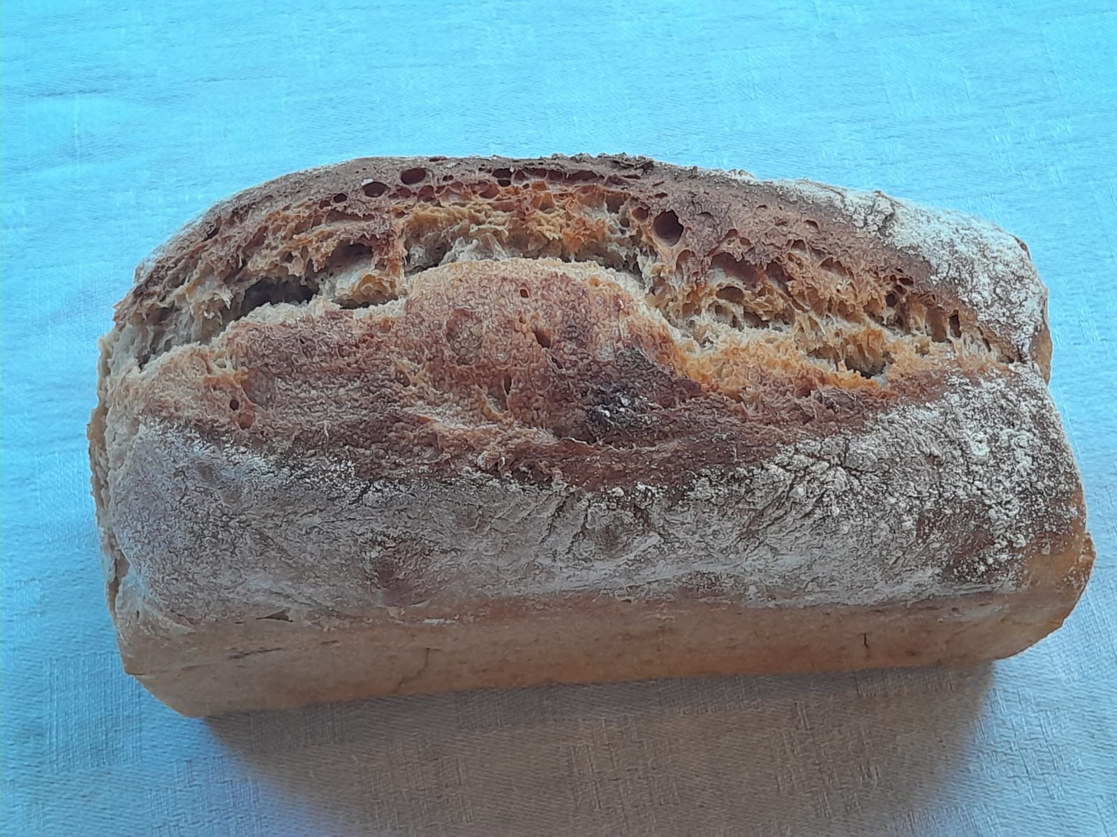 Pain de grand épeautre variété  non hybridée Oberkulmer - 500g