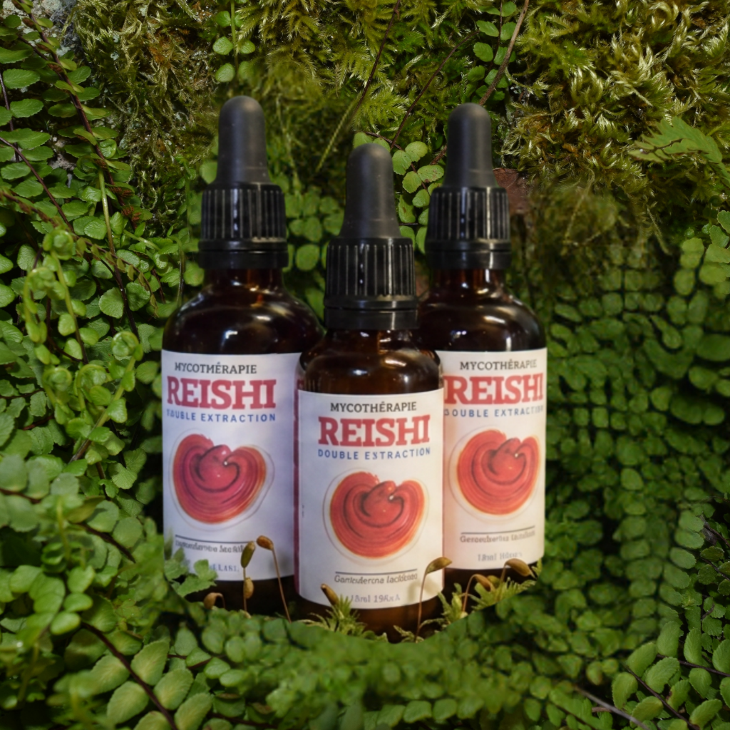 Kit "Cure Renforcée" 50ml