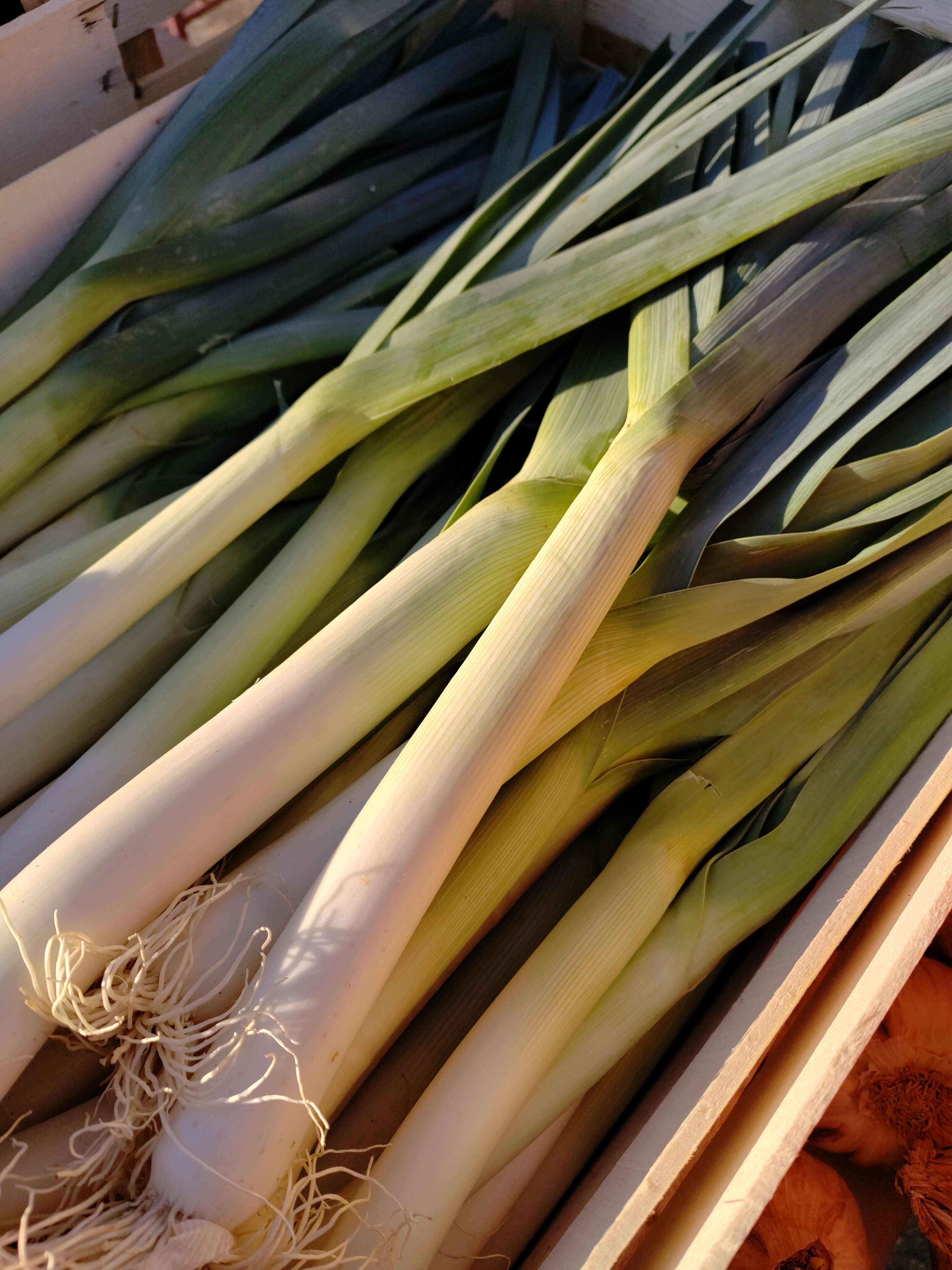 Panier de légumes du moment 20€