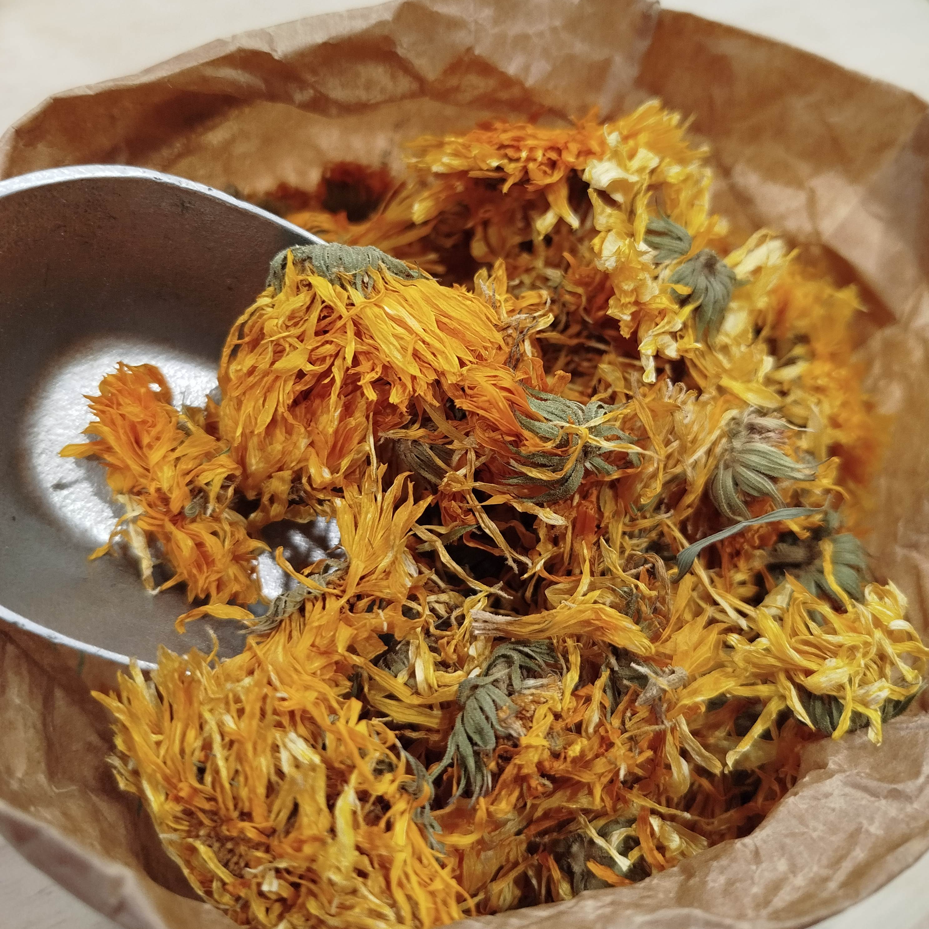 Calendula