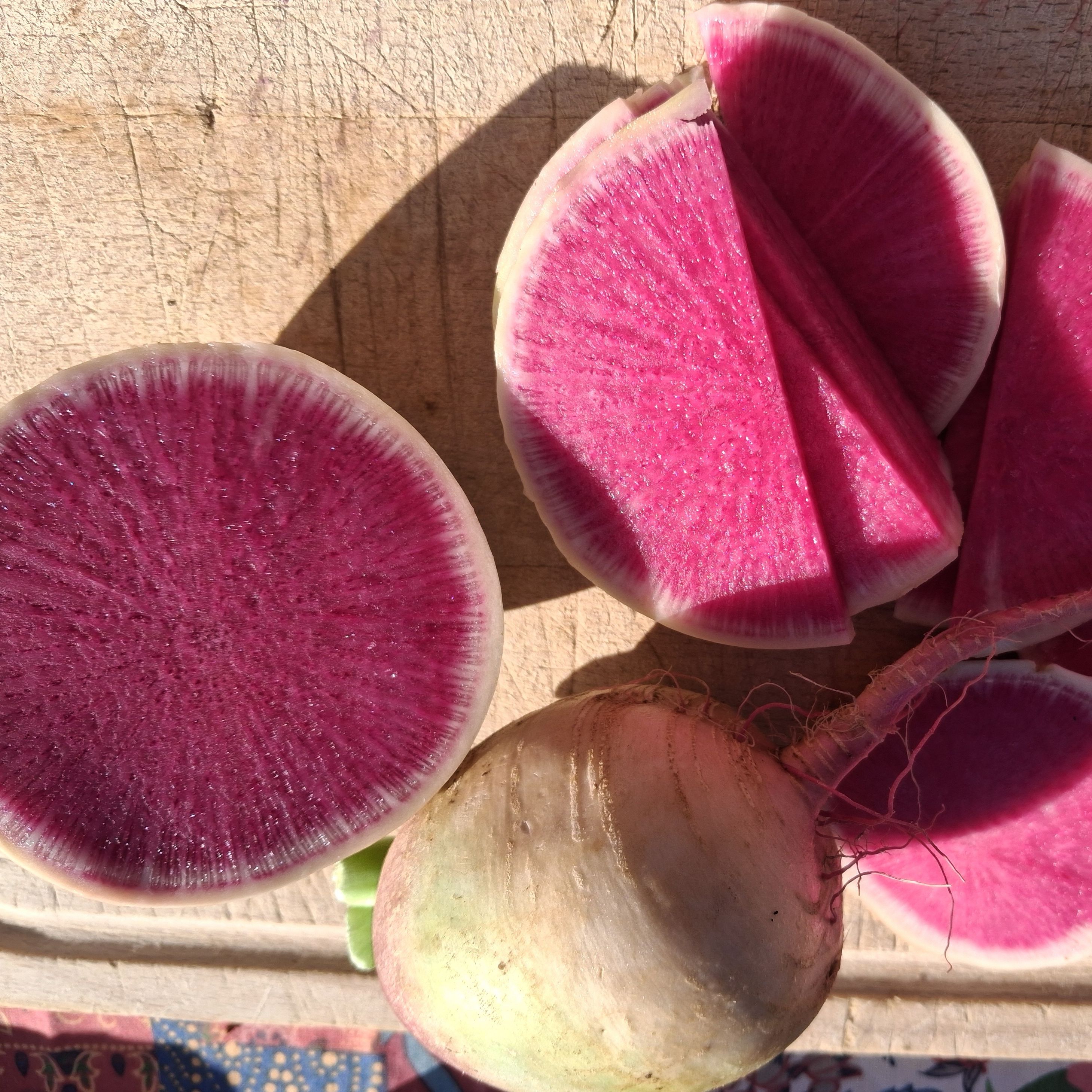 Radis Misato Rose Flesh - 500g