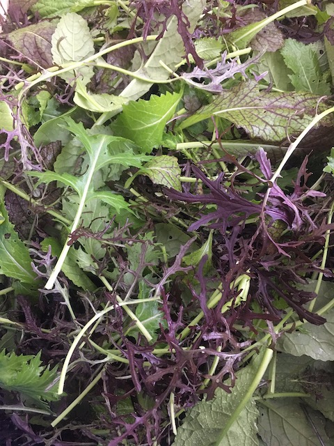 Mesclun asiatique / sachet de 200 gr