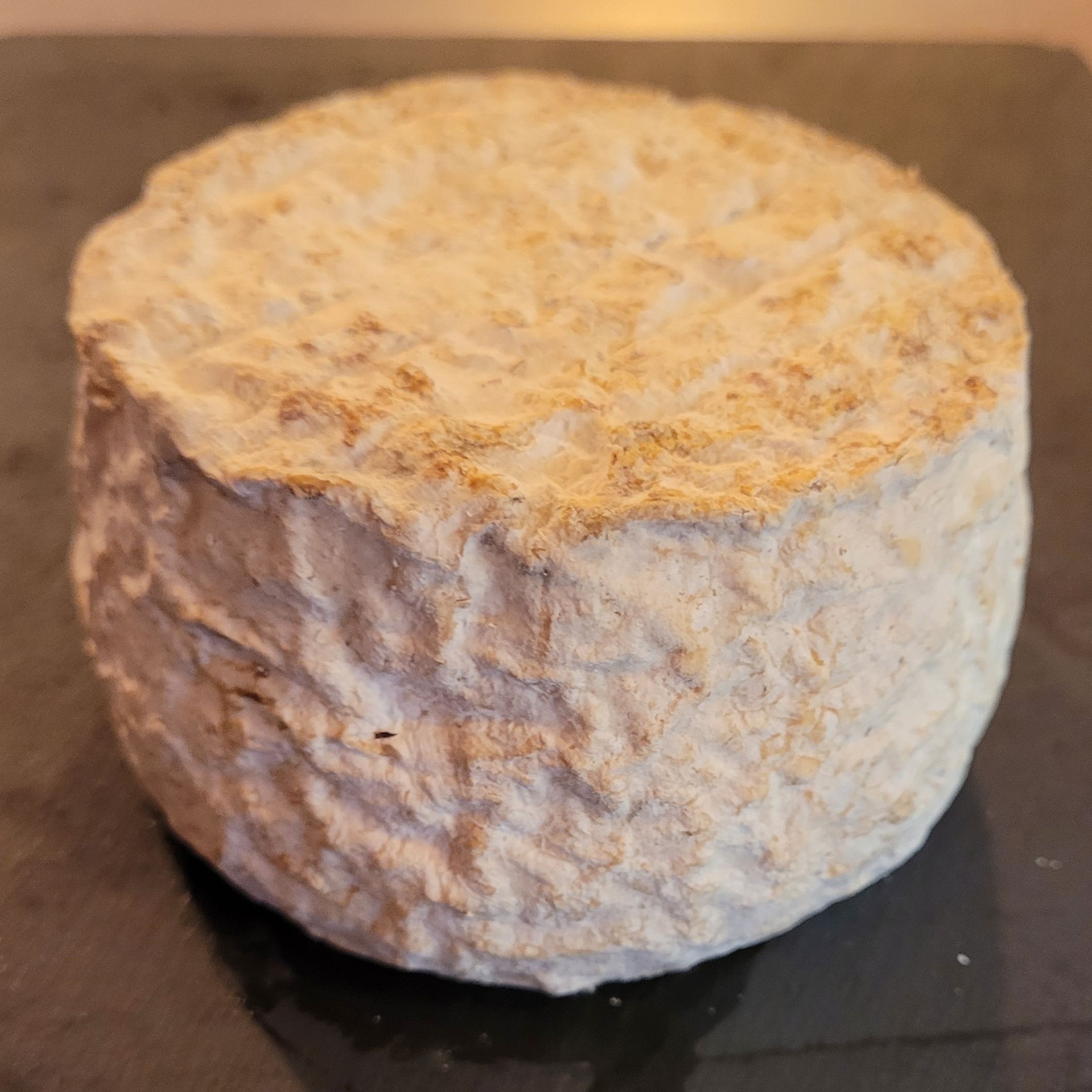 TOMME NOIX