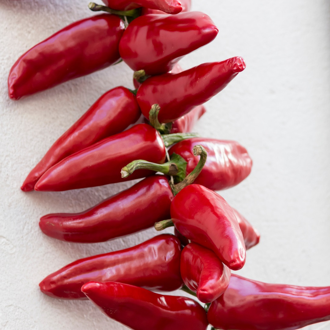 02 PIMENT GORIA
