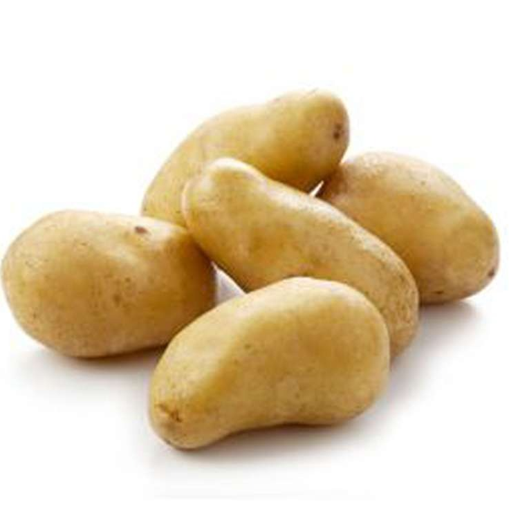 Sac de 5kg de pommes de terre Charlotte Bio - 5kg