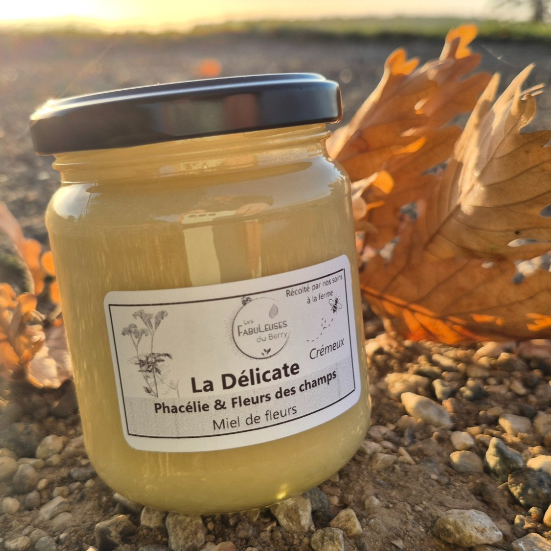 Miel de phacélie et fleurs des champs "La Délicate", crémeux - 250g
