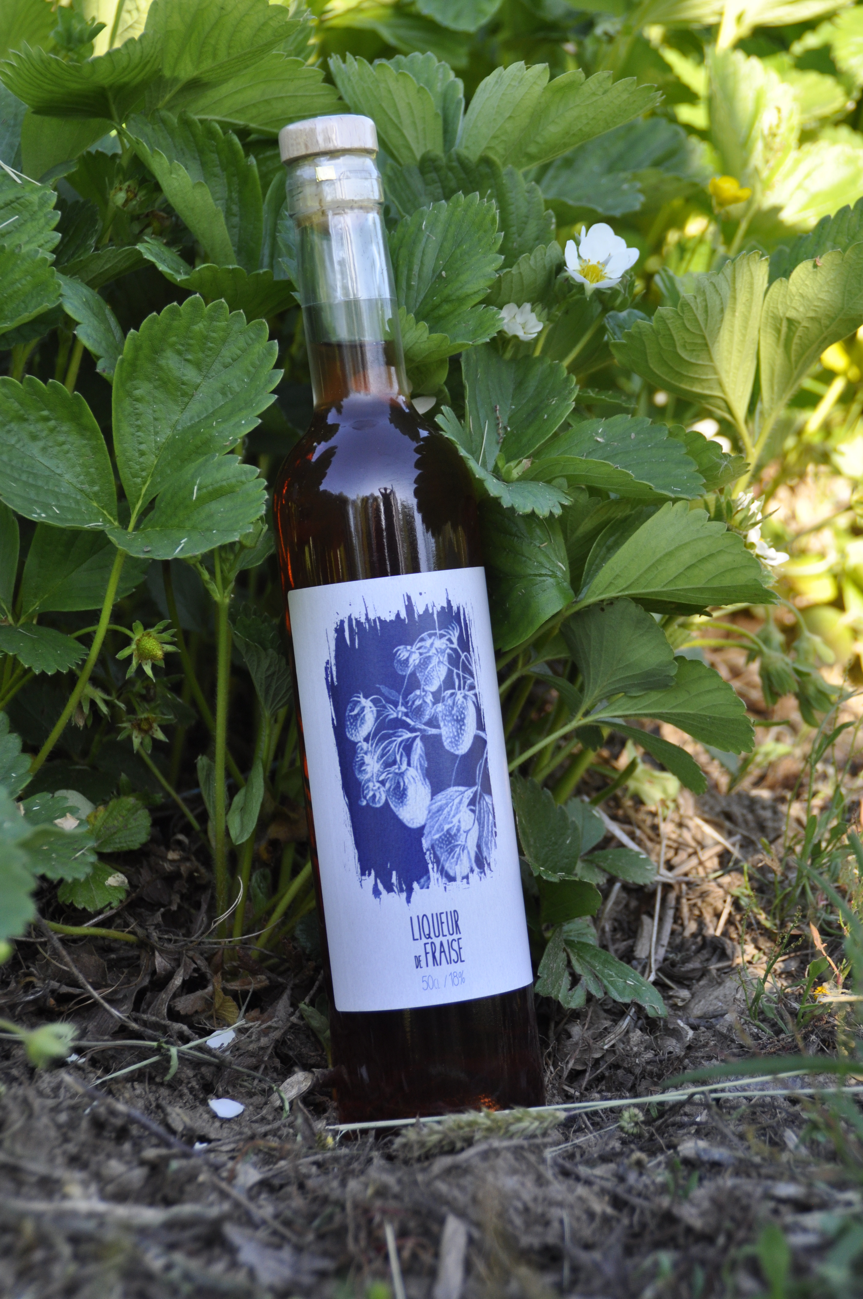 Liqueur de fraise 18&nbsp;% - 0,5cl