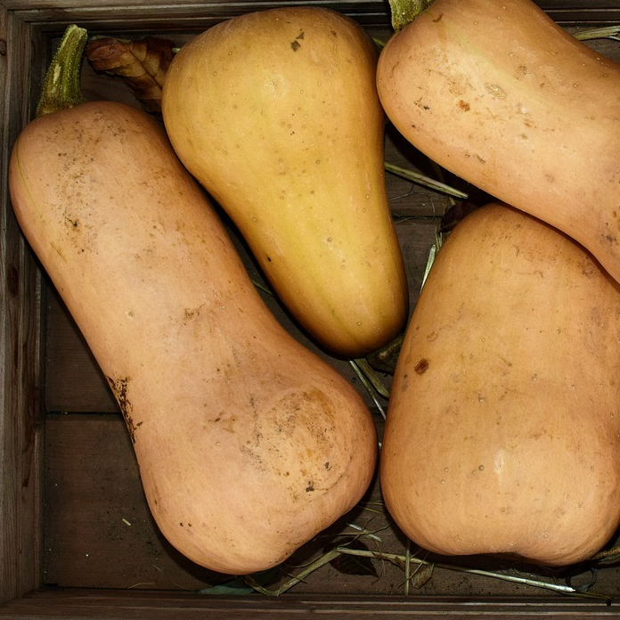 Courge butternut - 1kg