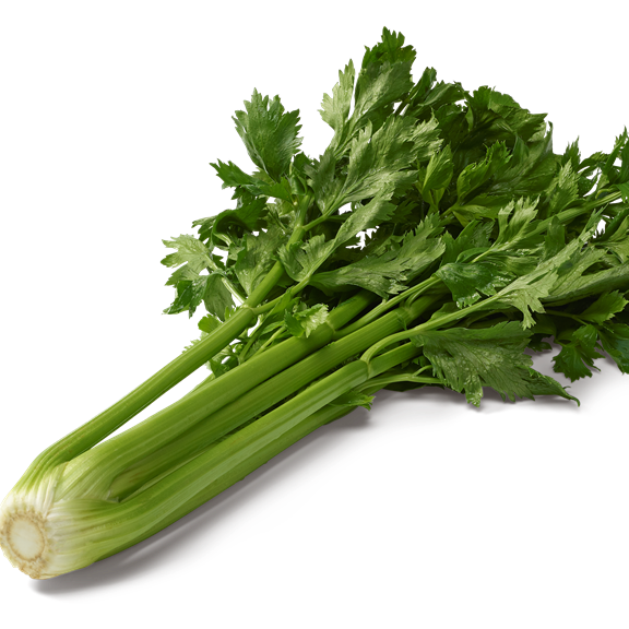 Céleri branche pied