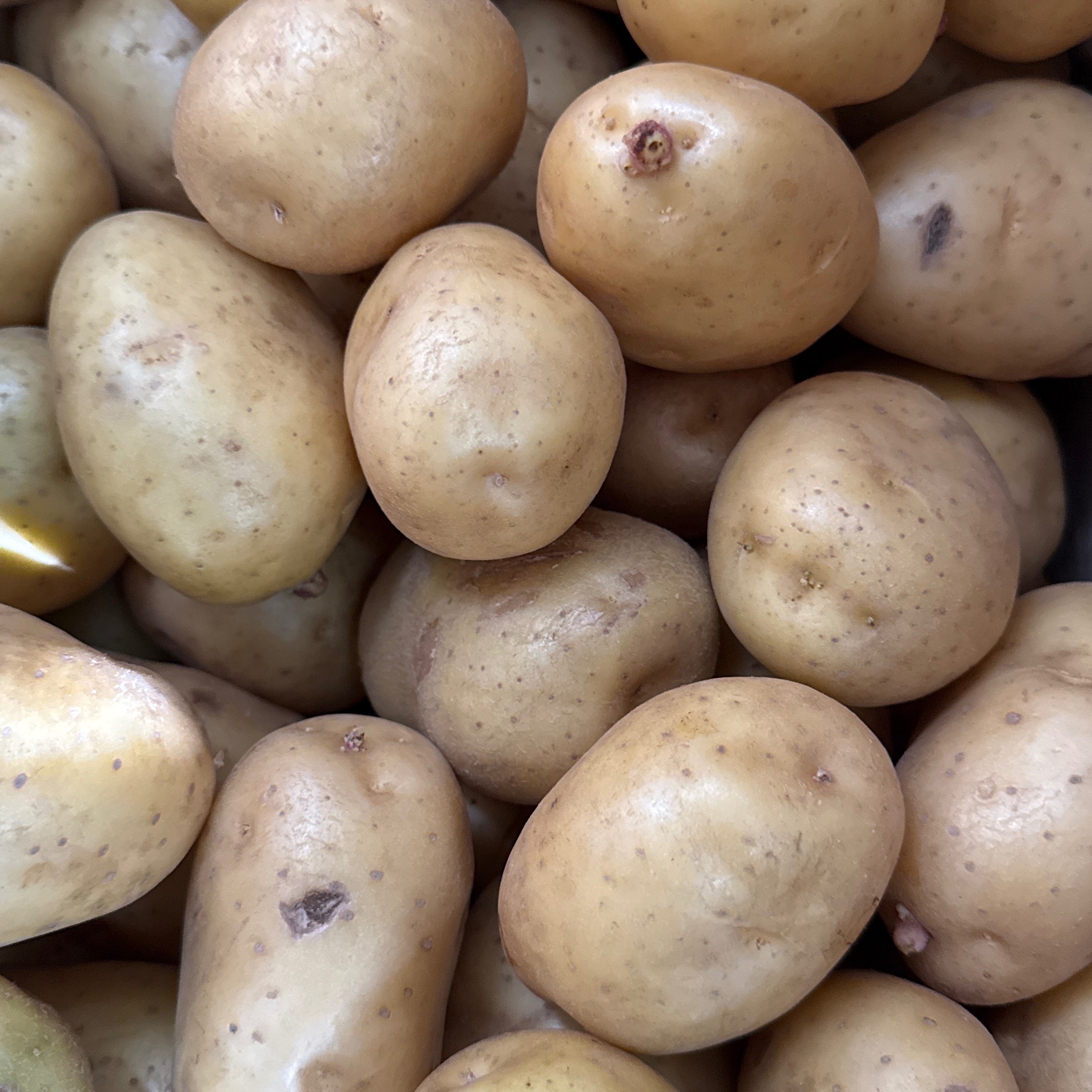 Pomme de terre tendre - 1kg