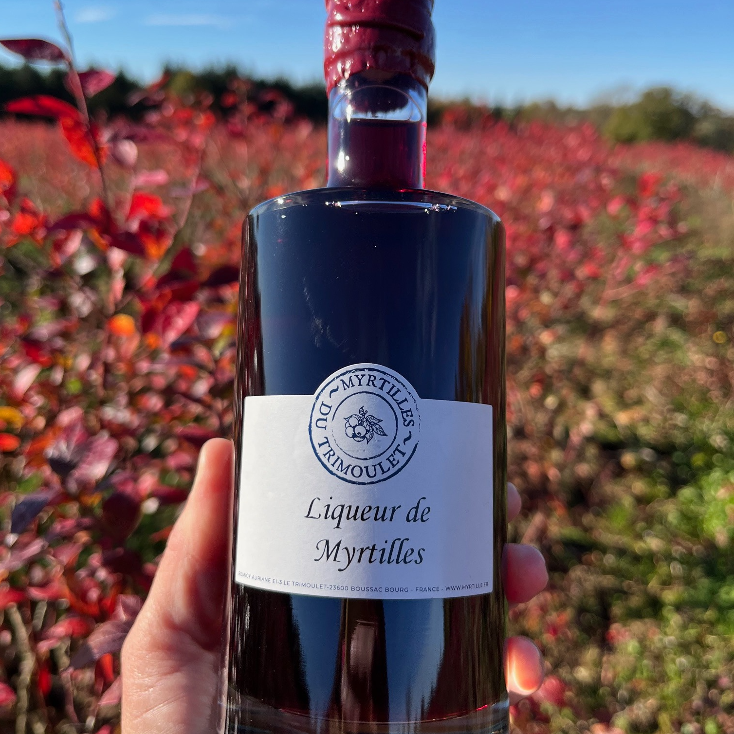 Liqueur Myrtilles - Bouteille 37.5 cL - 375g