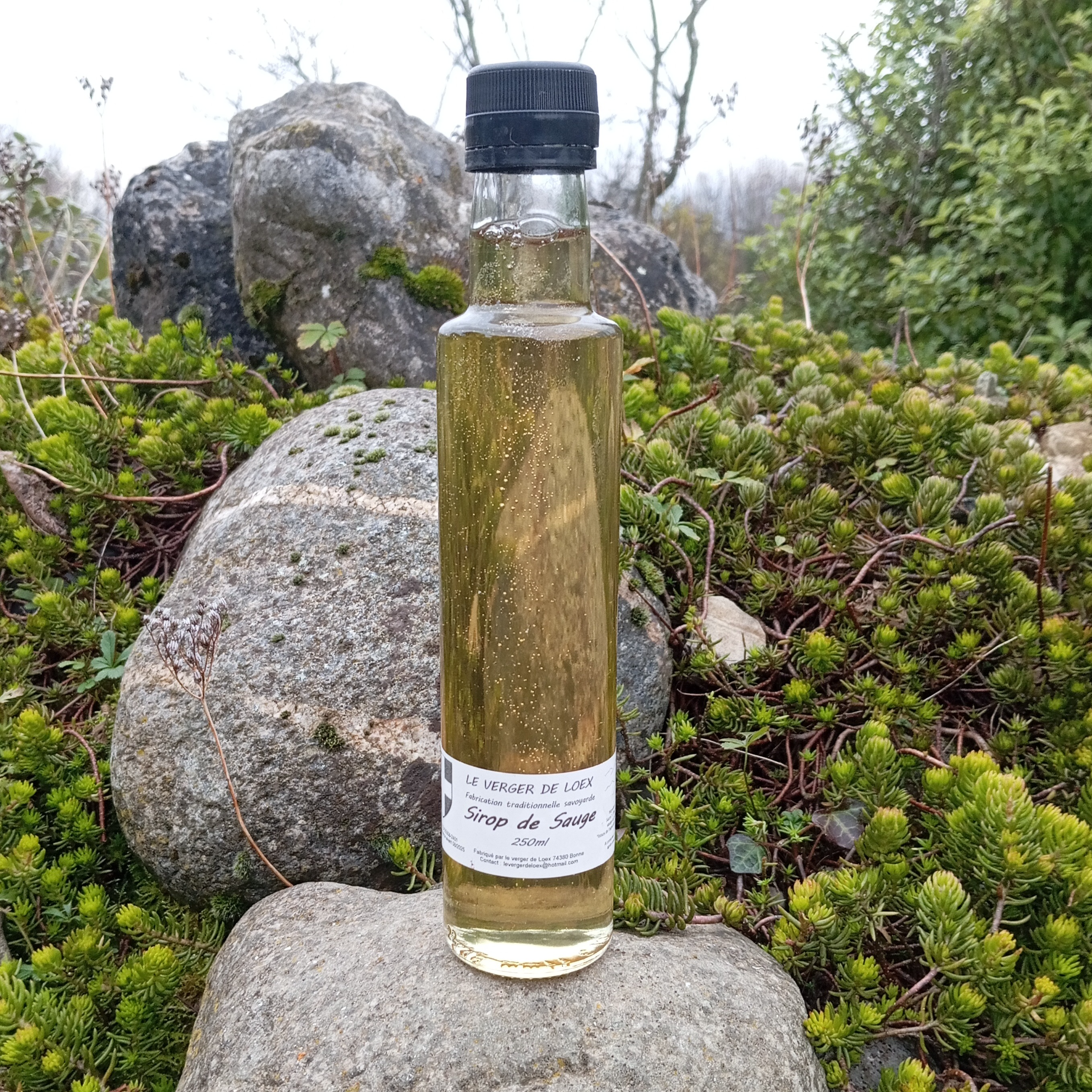 Sirop de sauge BIO du verger - 250ml