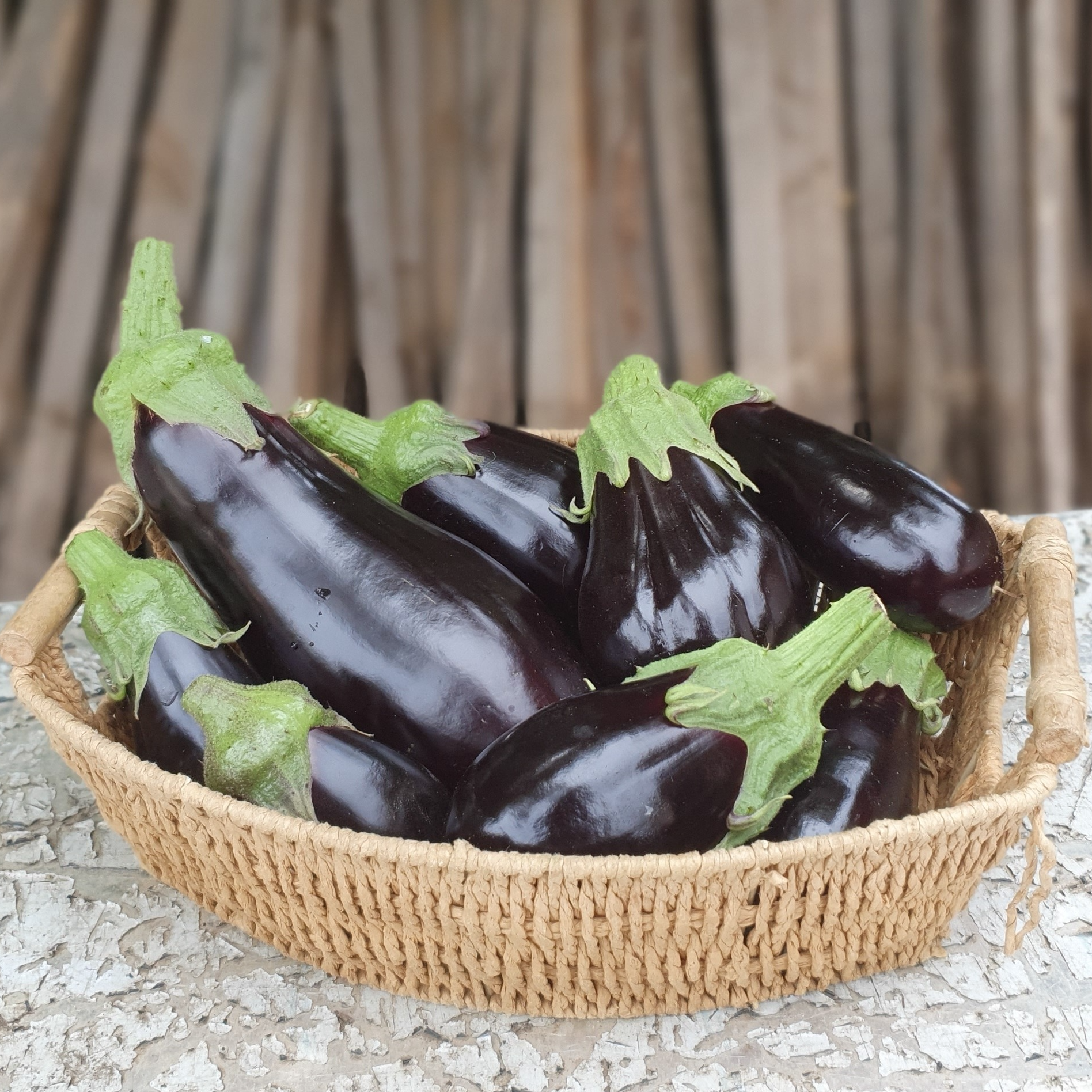 Aubergine