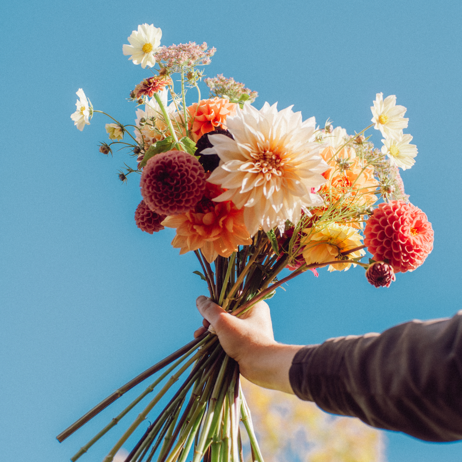 ABONNEMENT 3 MOIS - 1 BOUQUET / MOIS