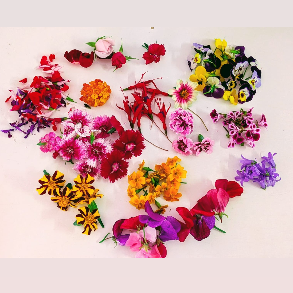 Mélange petites fleurs - 20g