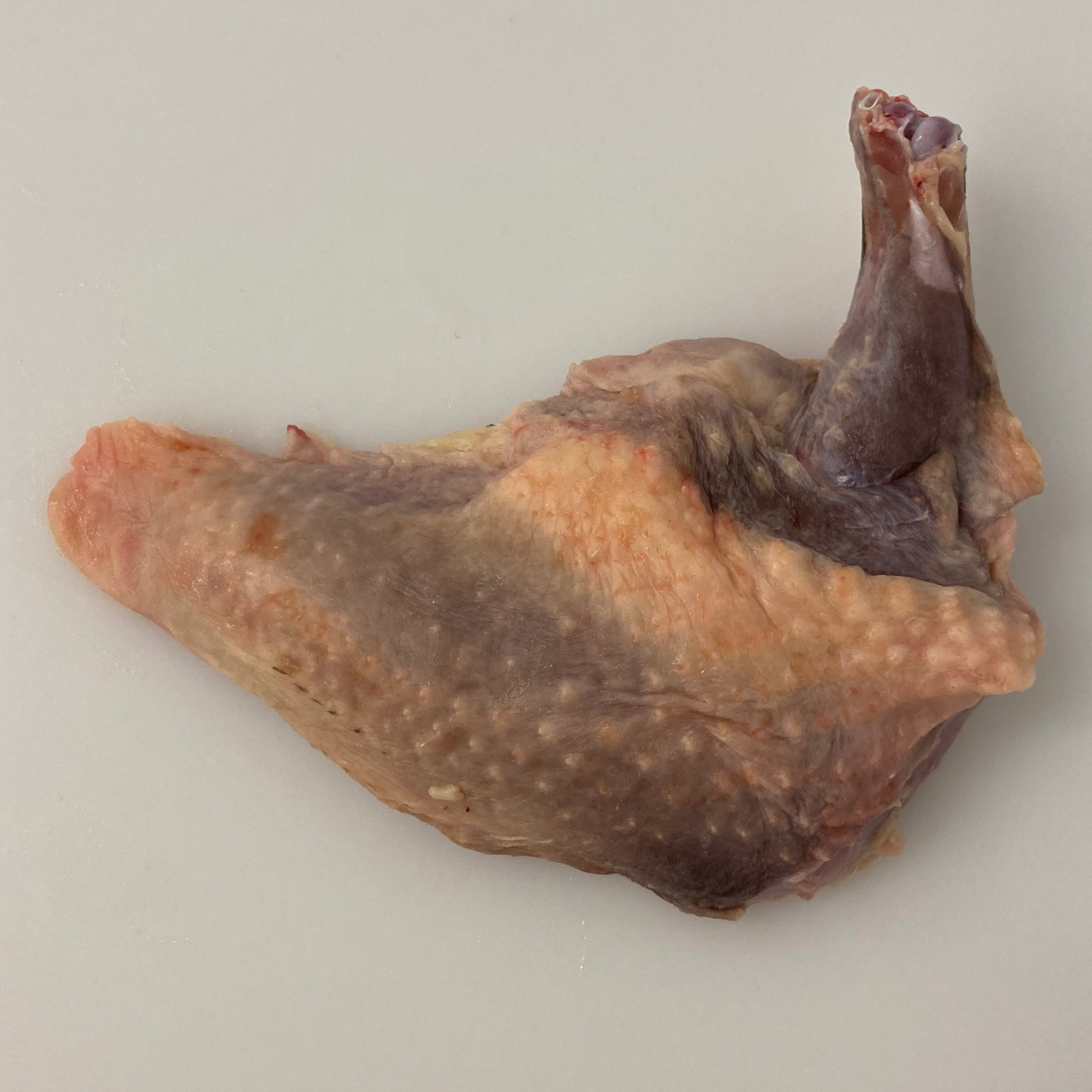 Suprême pintade - 200g