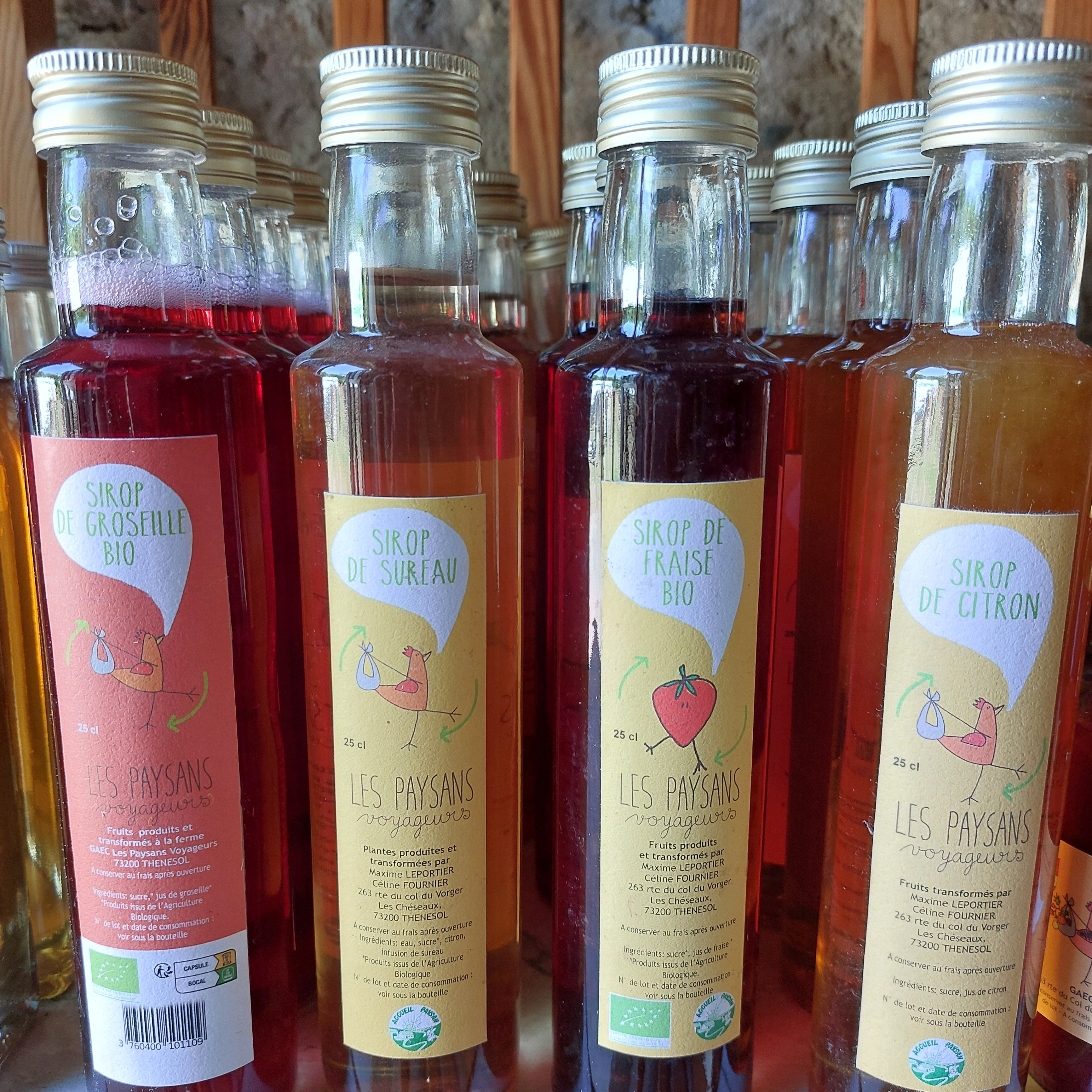 Sirop de Sureau (1 bouteille de 25cL)