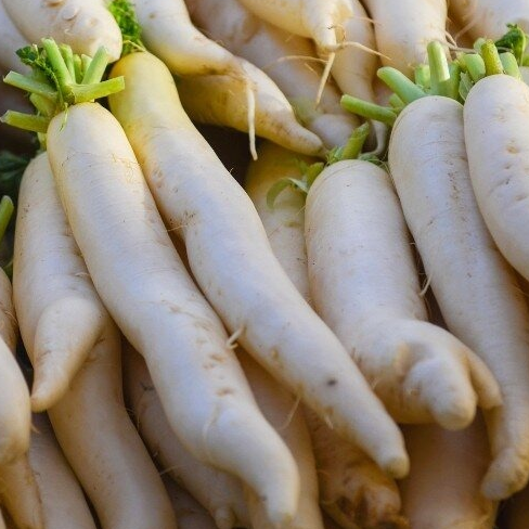 Radis blanc Daikon - 500g