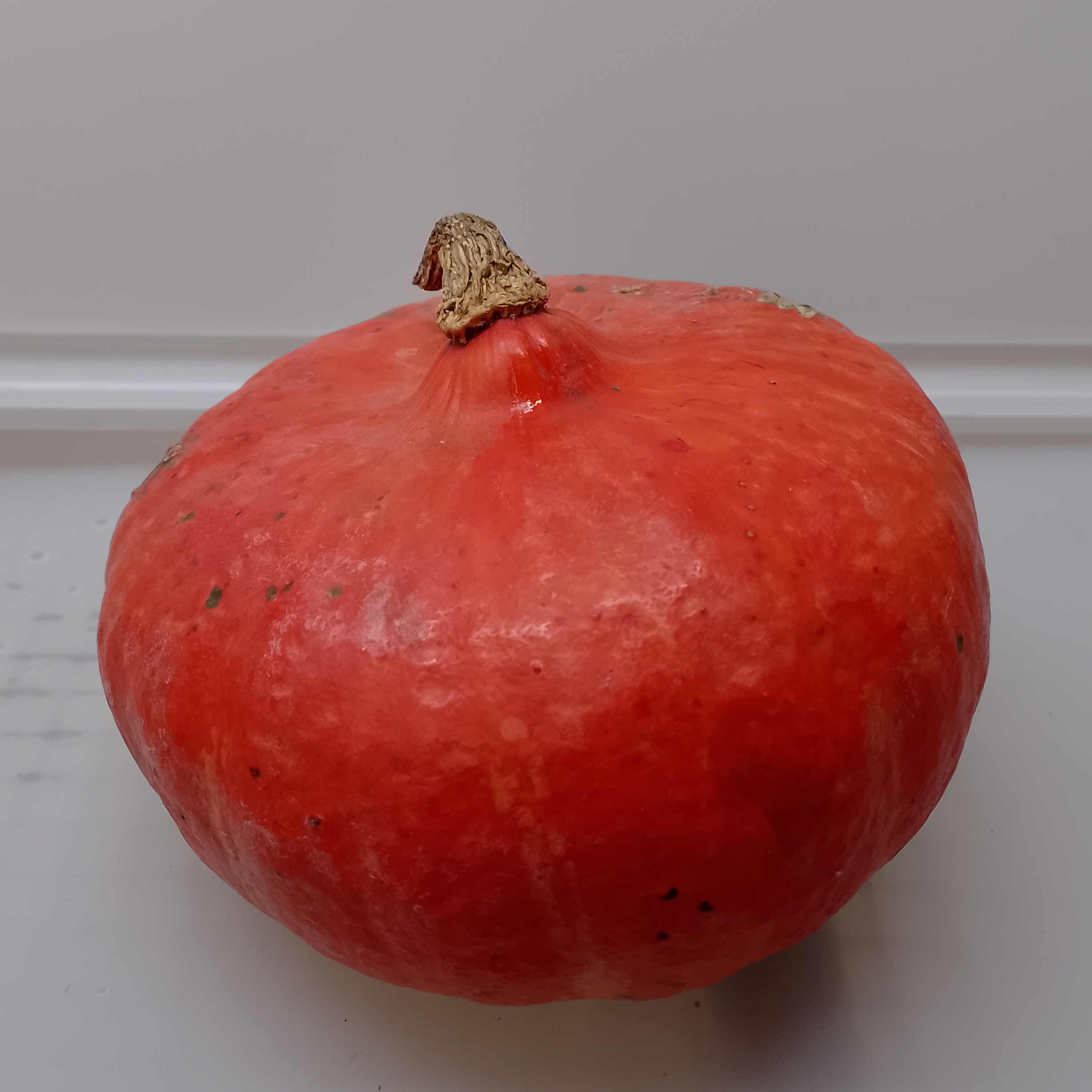 Potimarron - Pièce - 1kg