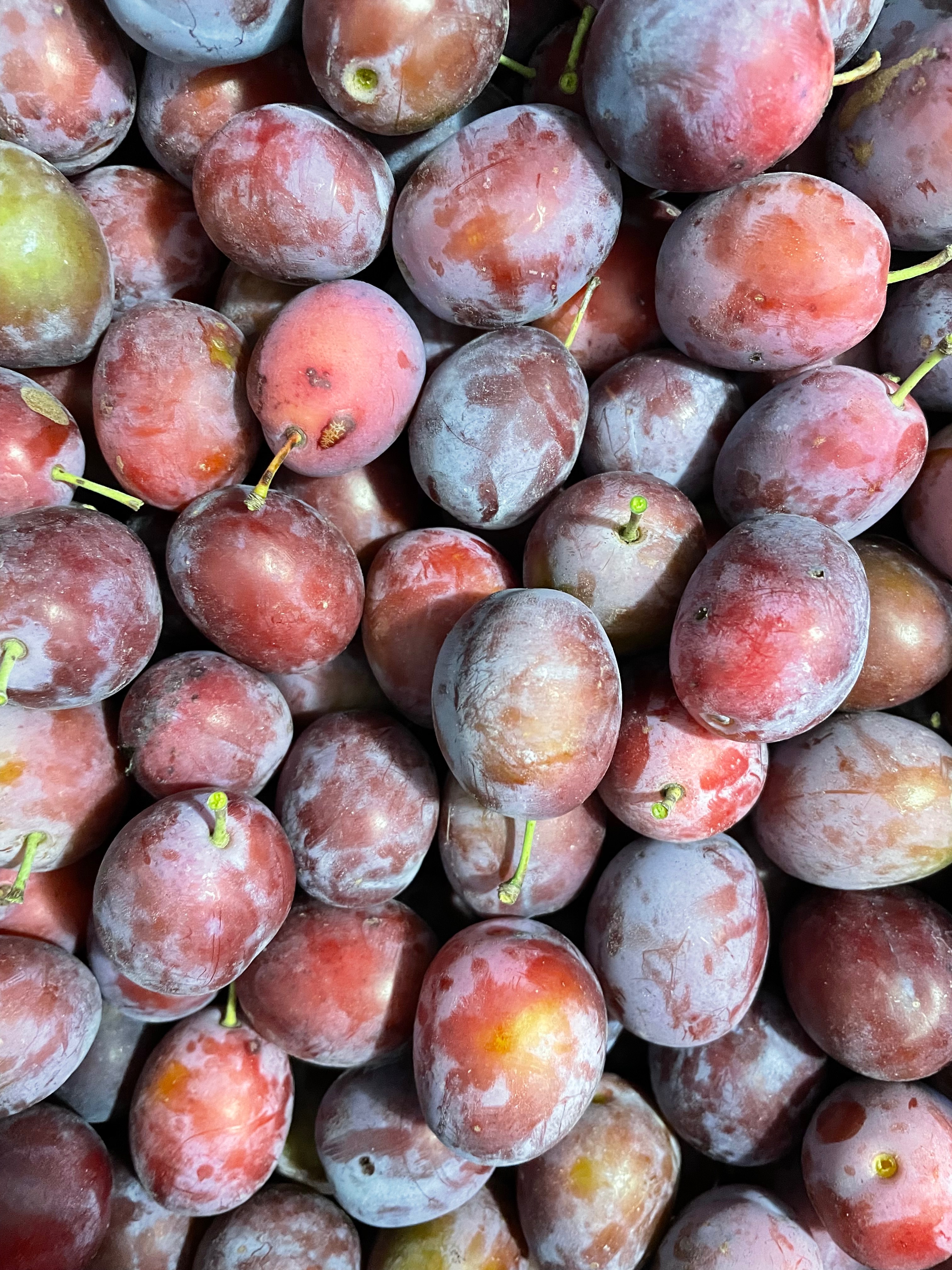 Prunes pour Transfo caisse de 5kg - 5kg
