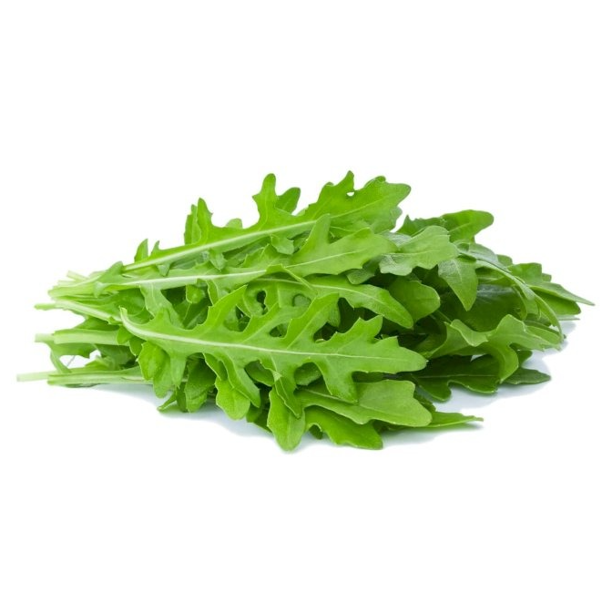 PLANT DE SALADE Roquette