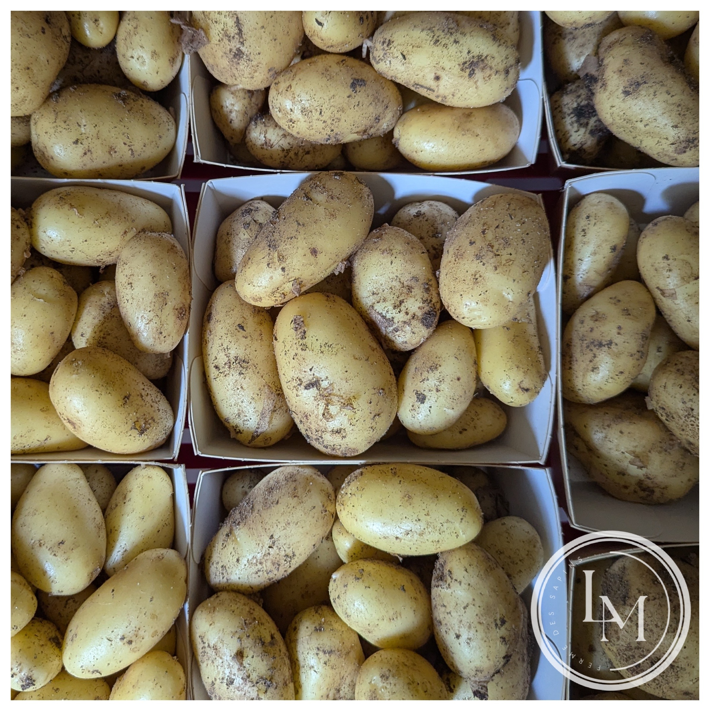 Pomme de terre grenaille (barquette 350g)
