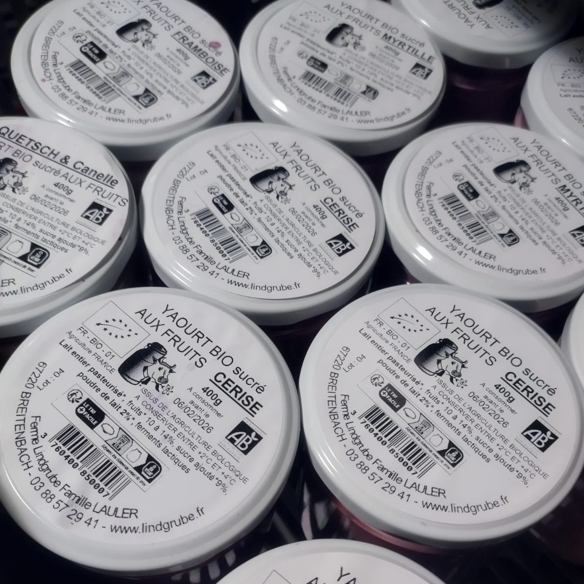 Yaourt aux Fruits 400g pot Verre