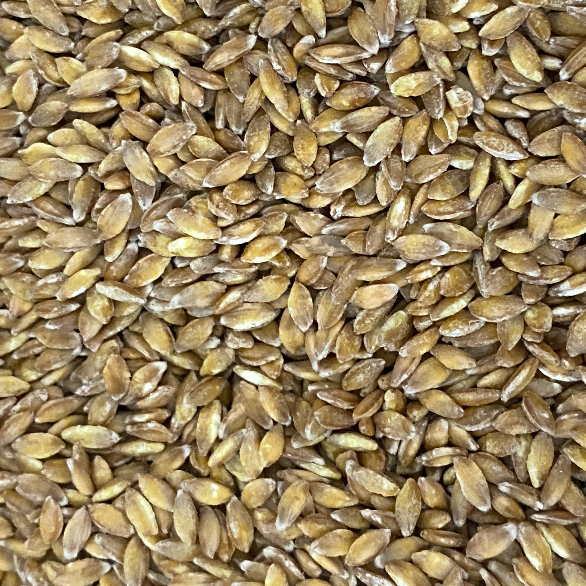 Petit Épeautre décortiqué - sachet 1kg