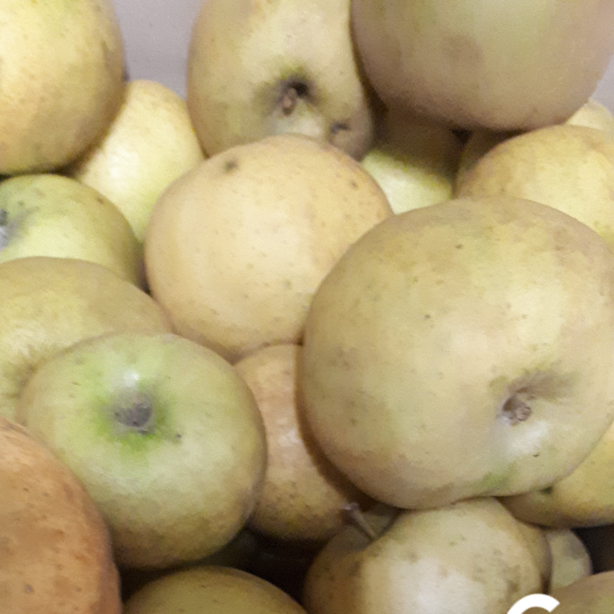 Pomme Chanteclerc bio et demeter 13kg