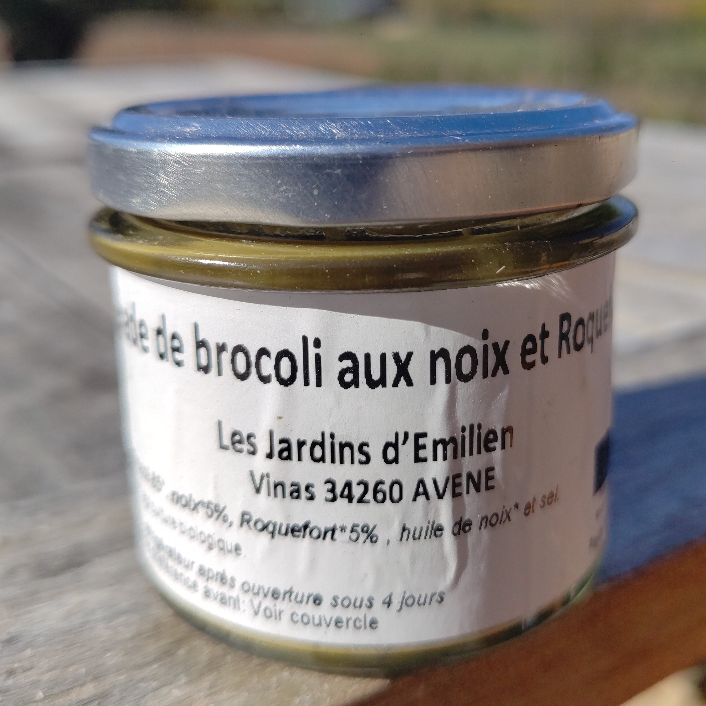 Tartinade Brocoli noix Roquefort