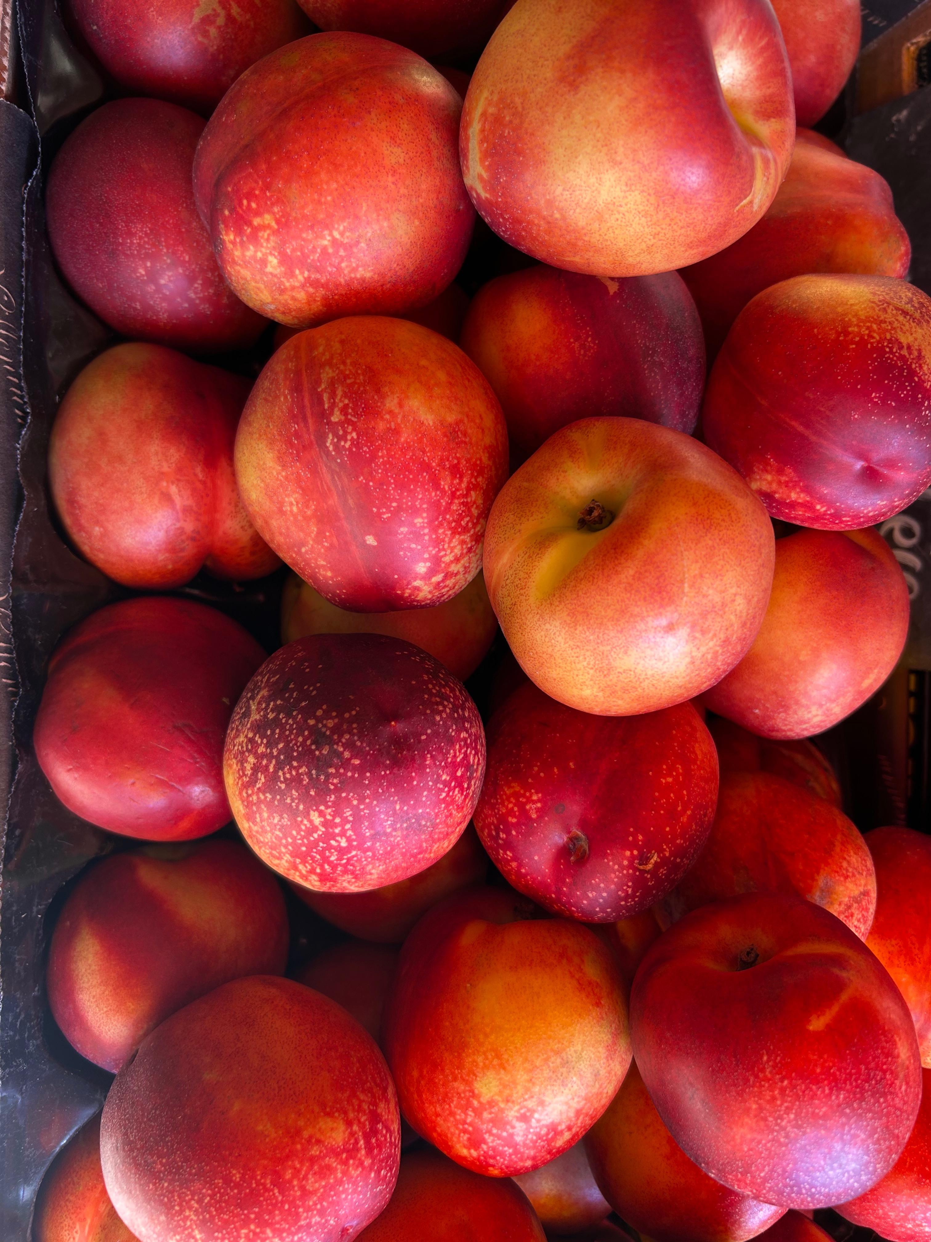 NECTARINE