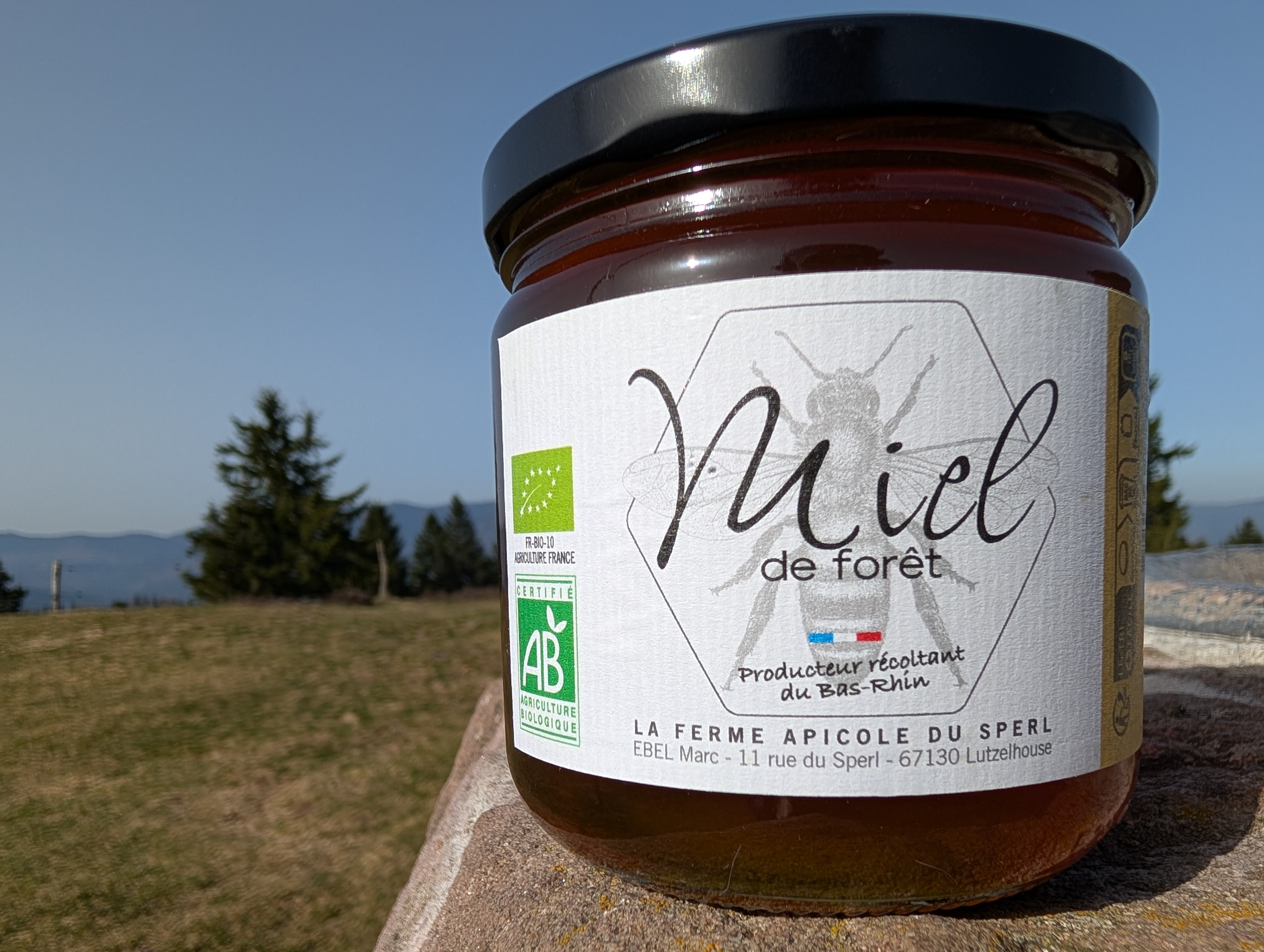 Miel de Forêt - 500g