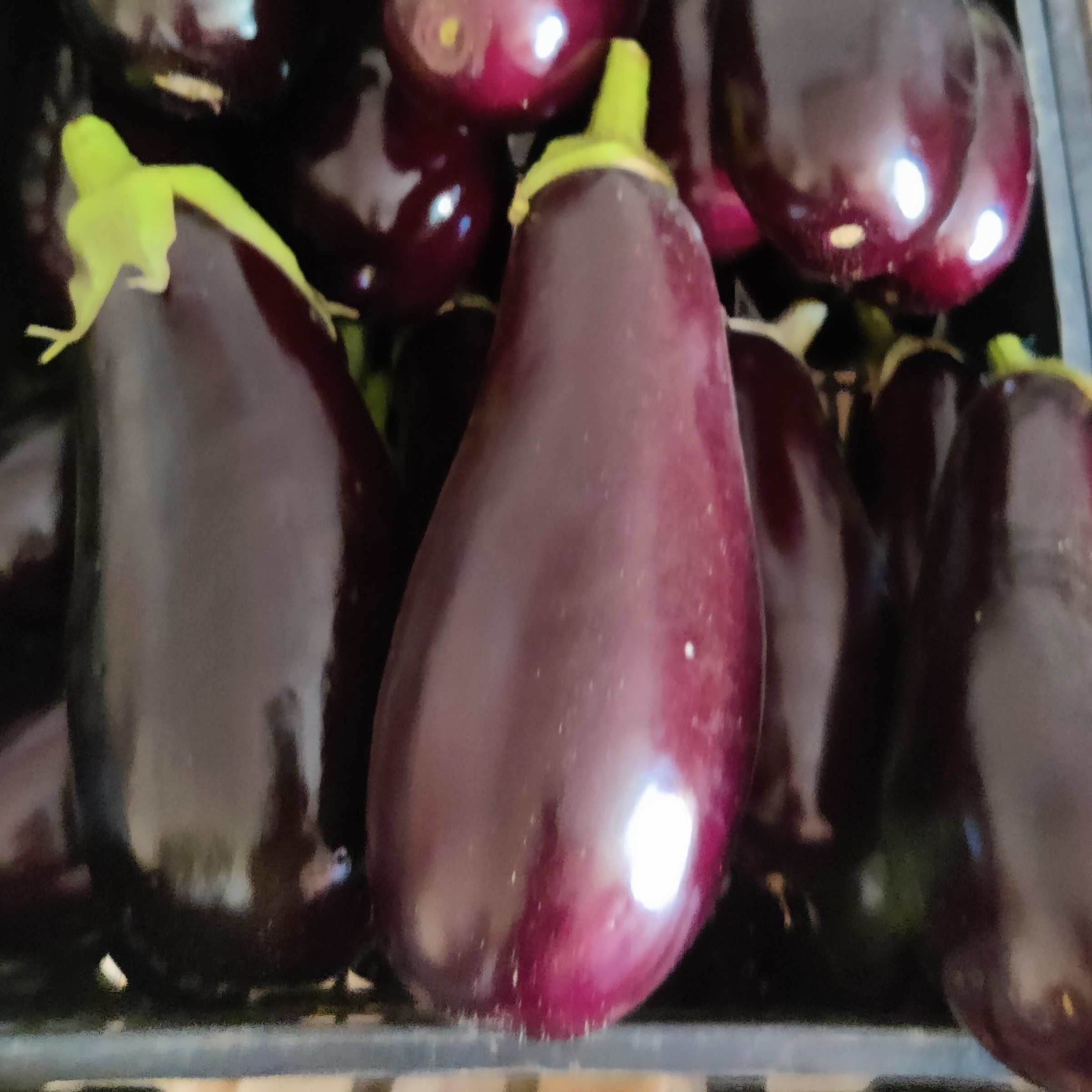 Aubergines
